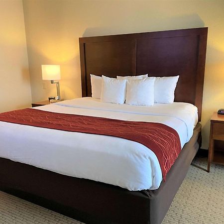 Comfort Inn & Suites Rogersville Exteriör bild