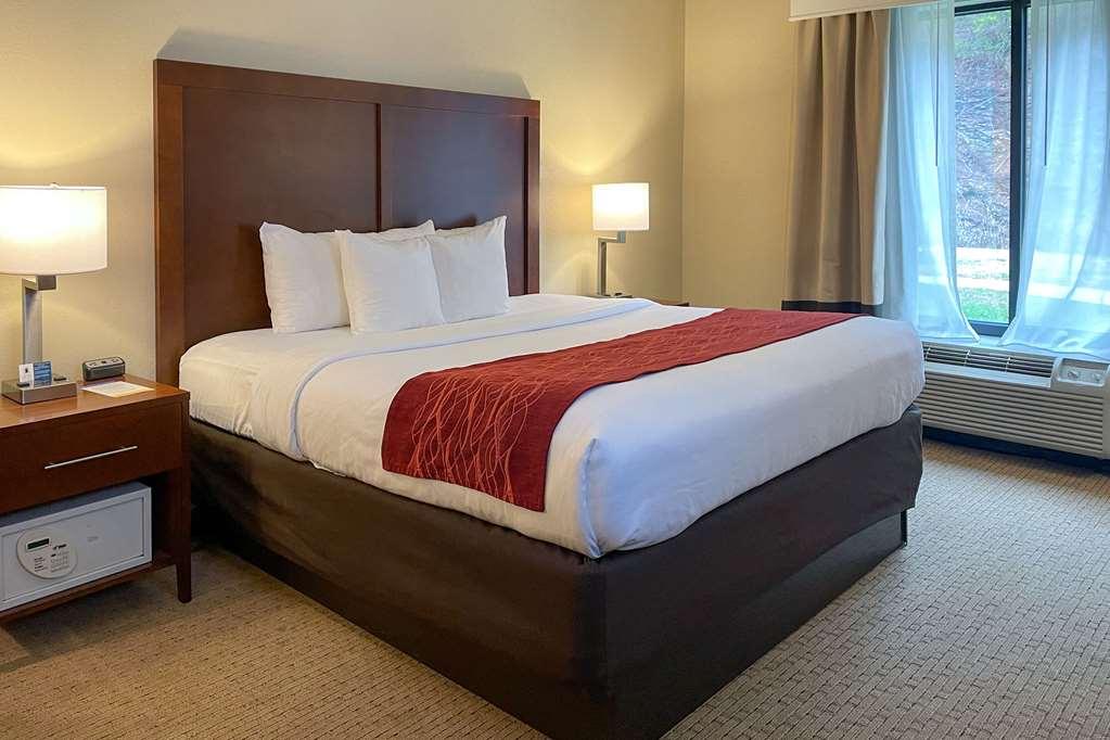 Comfort Inn & Suites Rogersville Rum bild