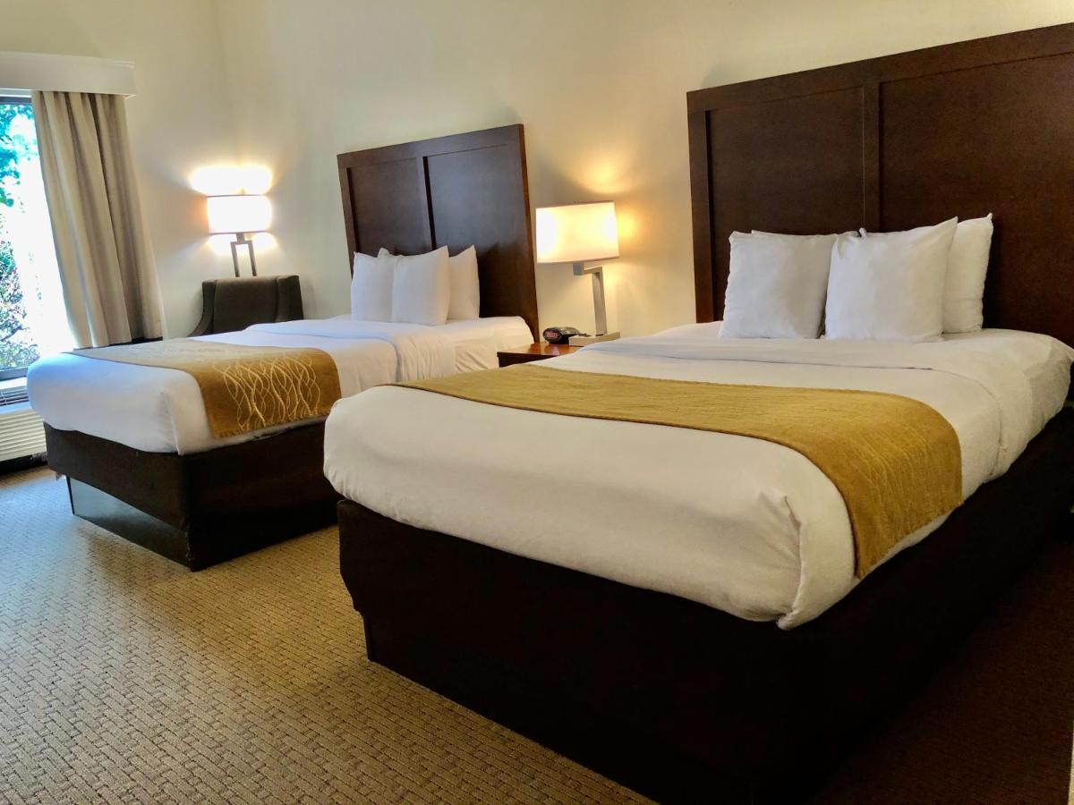 Comfort Inn & Suites Rogersville Exteriör bild