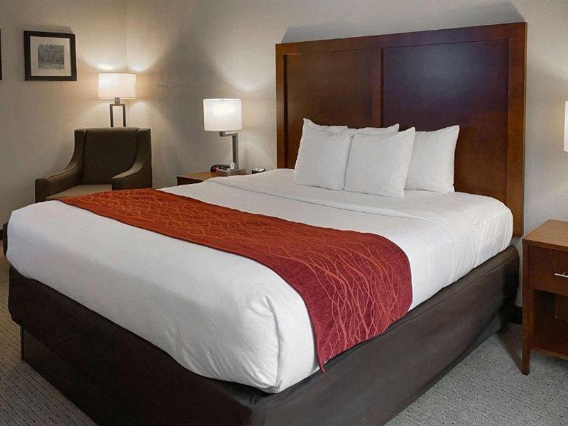 Comfort Inn & Suites Rogersville Exteriör bild