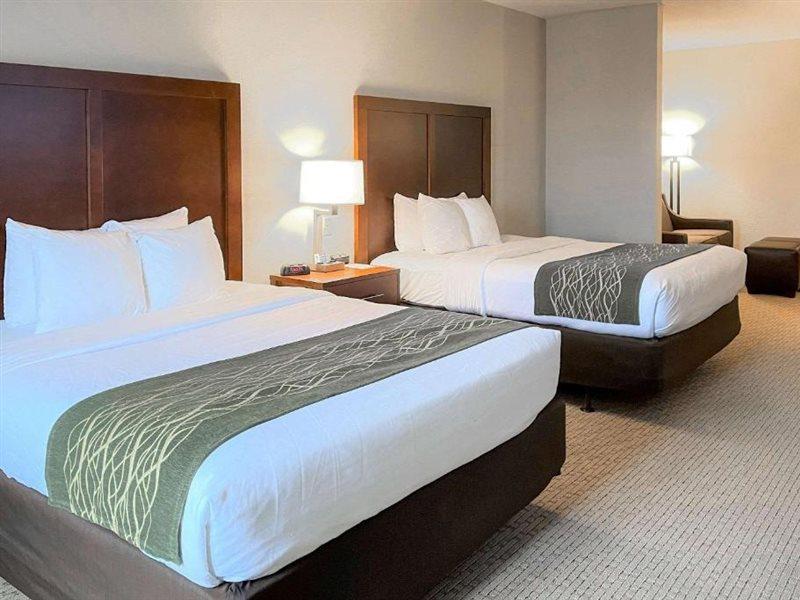 Comfort Inn & Suites Rogersville Exteriör bild