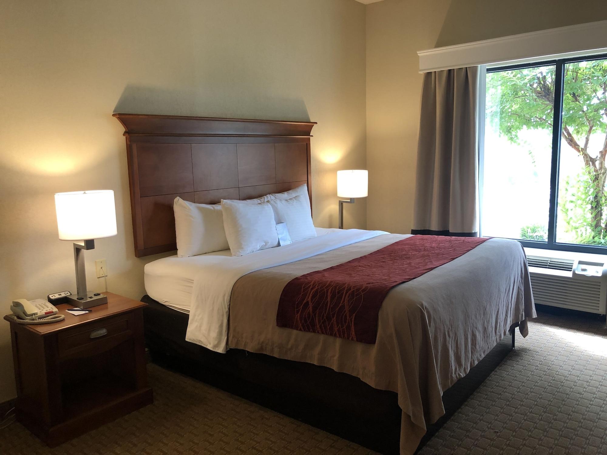 Comfort Inn & Suites Rogersville Exteriör bild