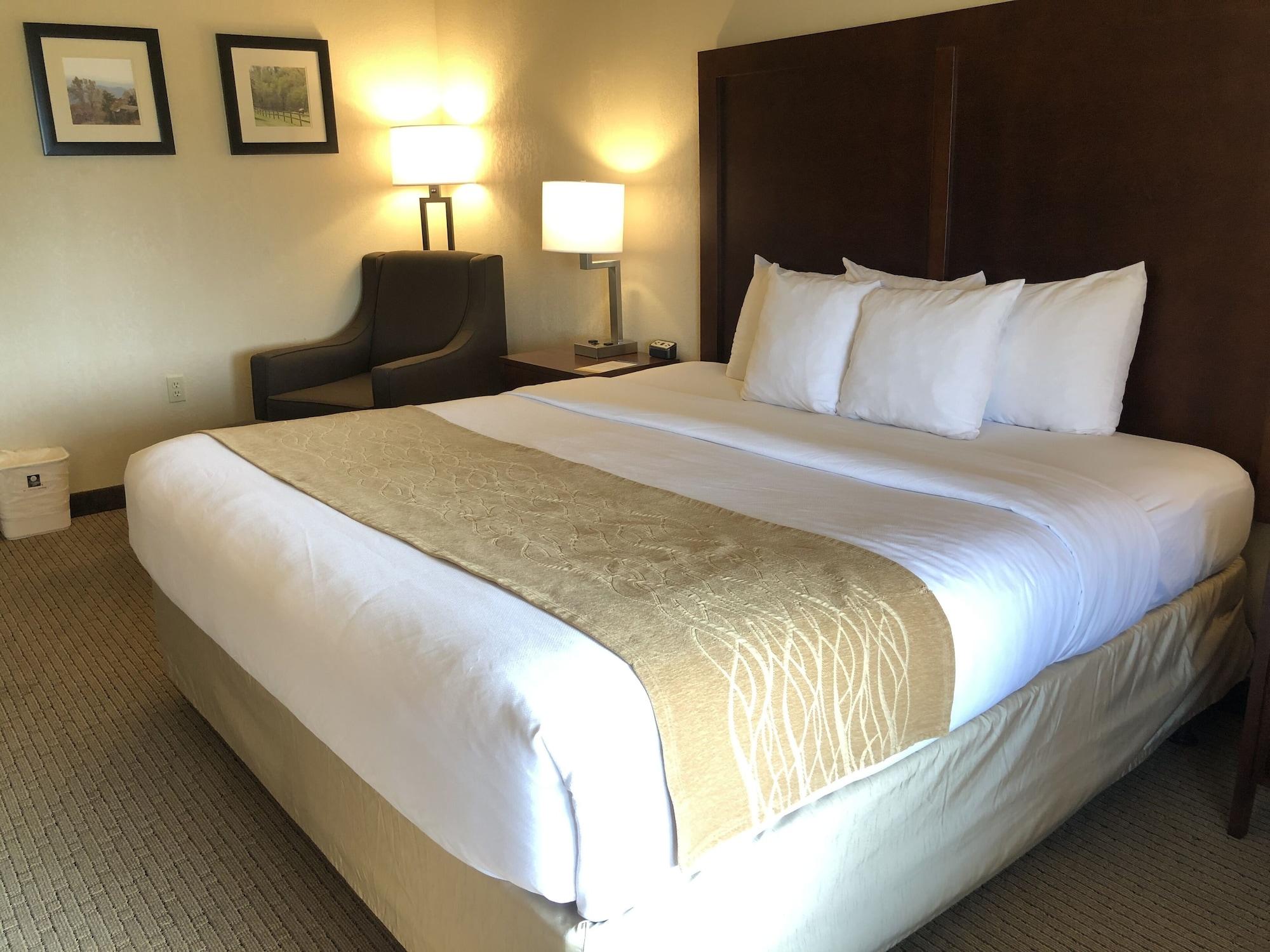 Comfort Inn & Suites Rogersville Exteriör bild