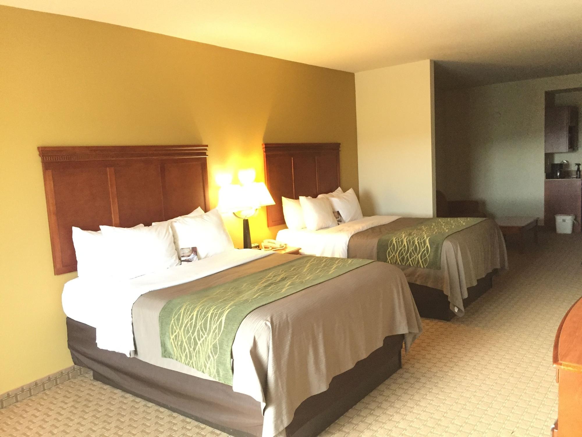 Comfort Inn & Suites Rogersville Exteriör bild