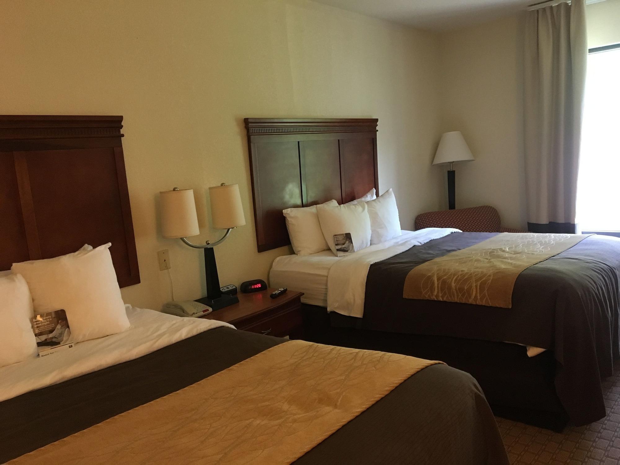 Comfort Inn & Suites Rogersville Exteriör bild