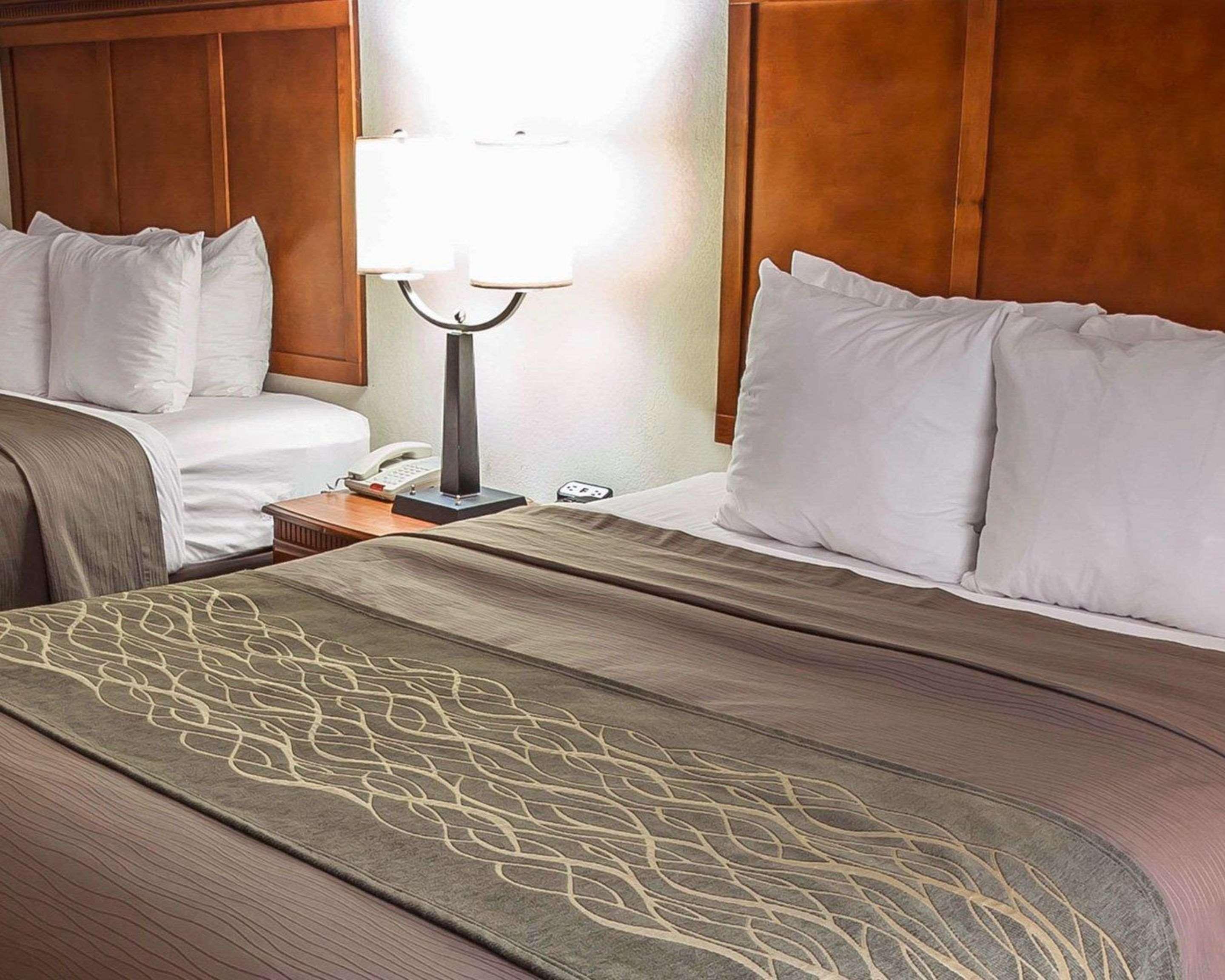 Comfort Inn & Suites Rogersville Exteriör bild
