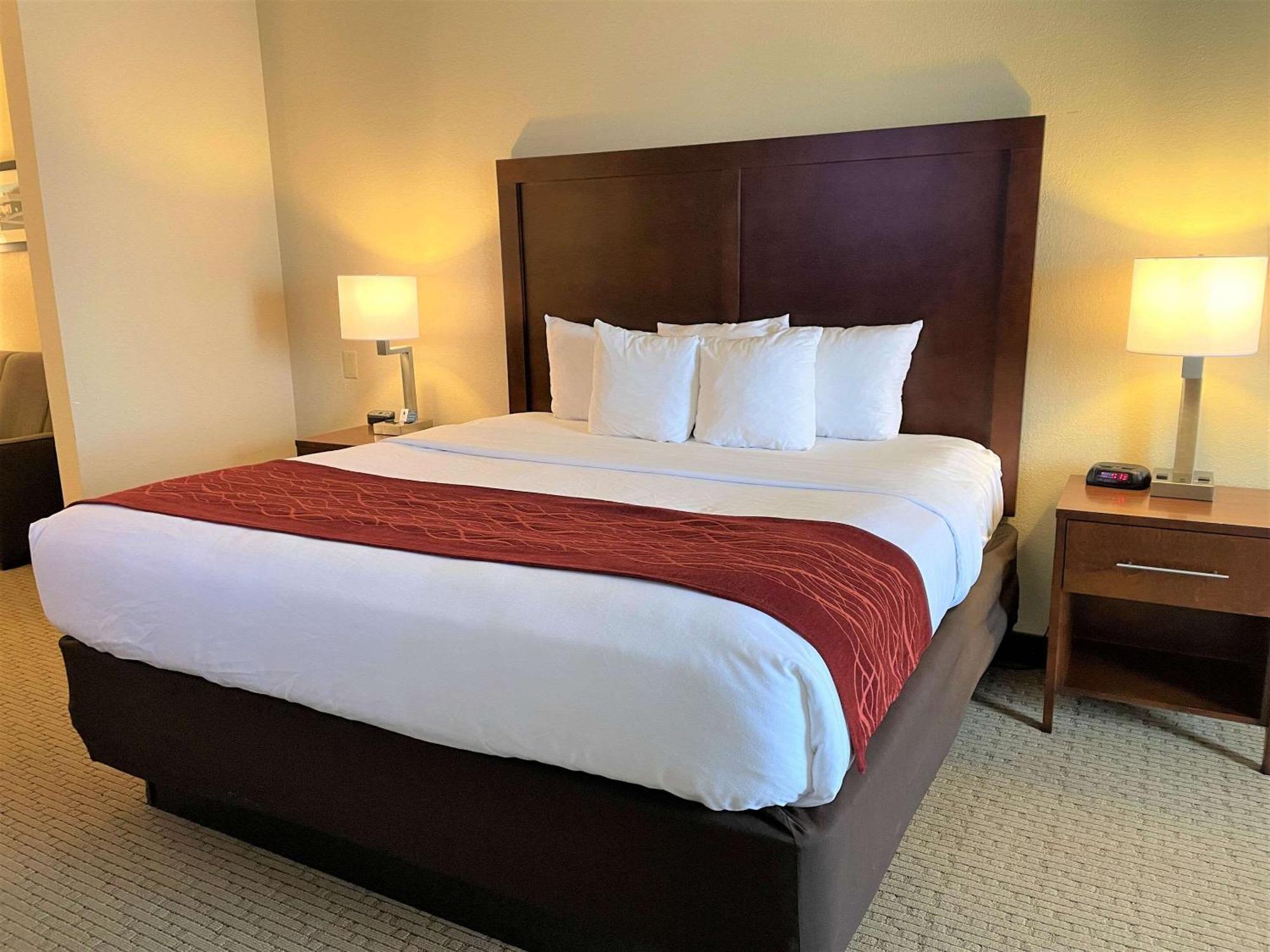 Comfort Inn & Suites Rogersville Exteriör bild