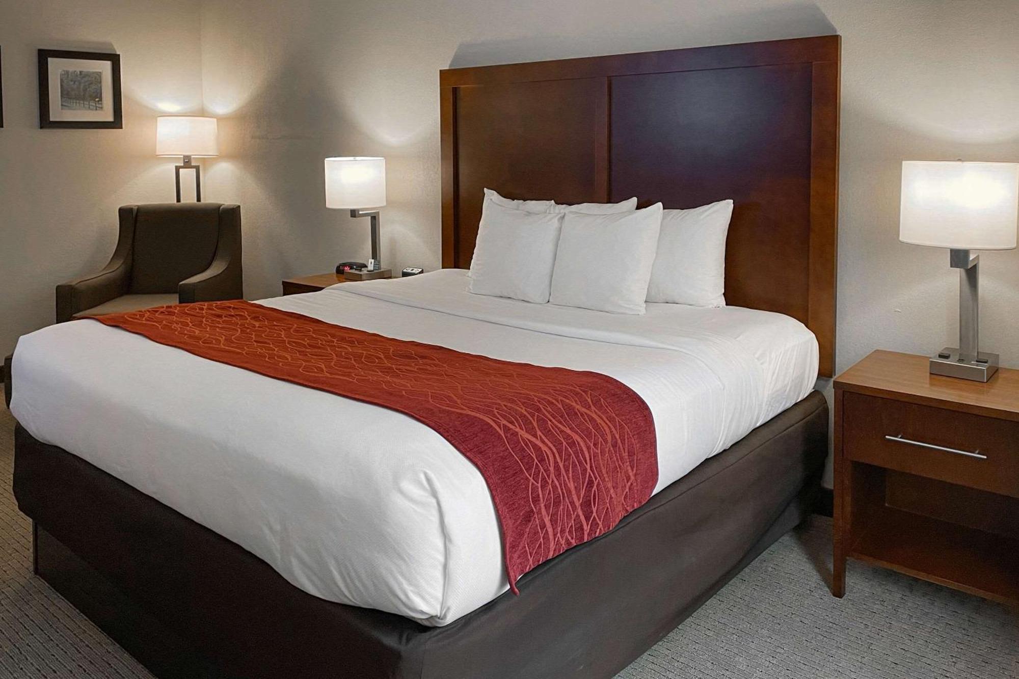 Comfort Inn & Suites Rogersville Exteriör bild